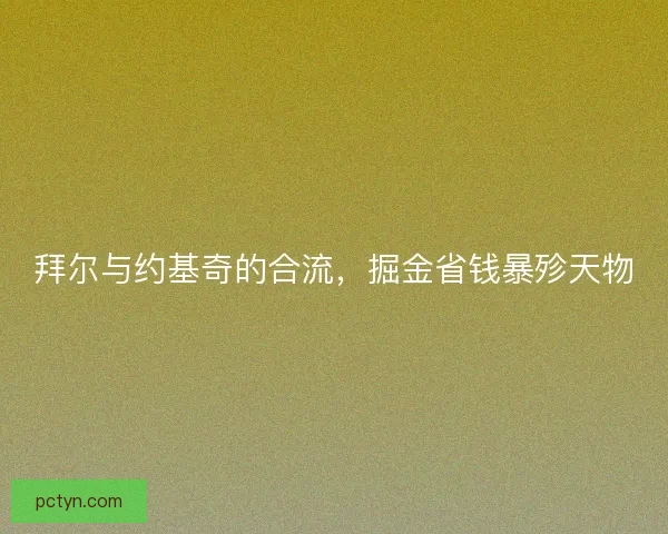 拜尔与约基奇的合流，掘金省钱暴殄天物